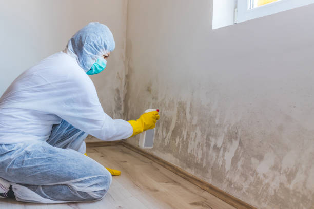 Black mold inspection in Richland